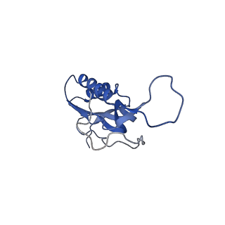 21858_6wnw_m_v1-0
Active 70S ribosome without free 5S rRNA and bound with A- and P- tRNA