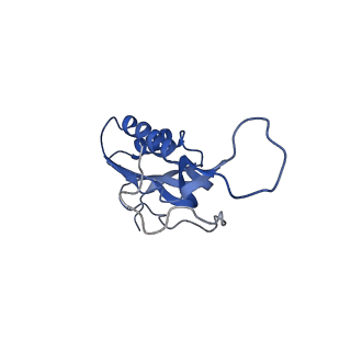 21858_6wnw_m_v1-1
Active 70S ribosome without free 5S rRNA and bound with A- and P- tRNA