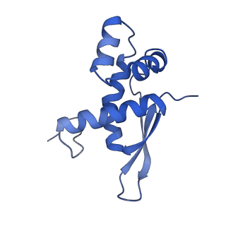 21858_6wnw_n_v1-0
Active 70S ribosome without free 5S rRNA and bound with A- and P- tRNA