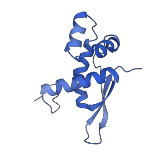 21858_6wnw_n_v1-1
Active 70S ribosome without free 5S rRNA and bound with A- and P- tRNA