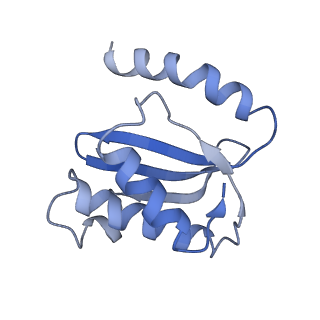21858_6wnw_o_v1-0
Active 70S ribosome without free 5S rRNA and bound with A- and P- tRNA