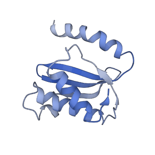 21858_6wnw_o_v1-1
Active 70S ribosome without free 5S rRNA and bound with A- and P- tRNA