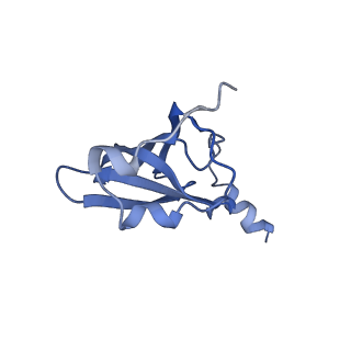 21858_6wnw_p_v1-0
Active 70S ribosome without free 5S rRNA and bound with A- and P- tRNA