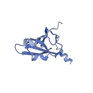 21858_6wnw_p_v1-1
Active 70S ribosome without free 5S rRNA and bound with A- and P- tRNA