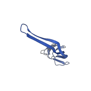 21858_6wnw_r_v1-1
Active 70S ribosome without free 5S rRNA and bound with A- and P- tRNA