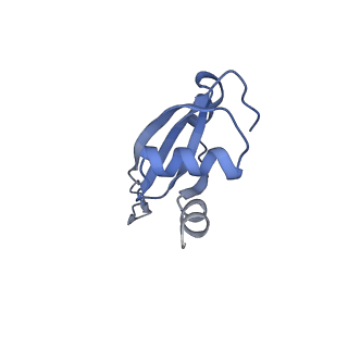 21858_6wnw_t_v1-0
Active 70S ribosome without free 5S rRNA and bound with A- and P- tRNA