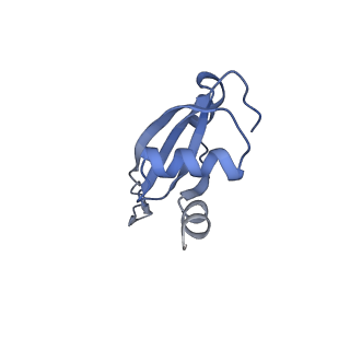 21858_6wnw_t_v1-1
Active 70S ribosome without free 5S rRNA and bound with A- and P- tRNA
