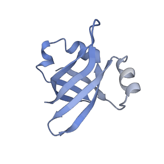 21858_6wnw_v_v1-0
Active 70S ribosome without free 5S rRNA and bound with A- and P- tRNA