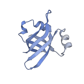 21858_6wnw_v_v1-1
Active 70S ribosome without free 5S rRNA and bound with A- and P- tRNA