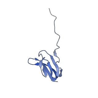 21858_6wnw_w_v1-0
Active 70S ribosome without free 5S rRNA and bound with A- and P- tRNA