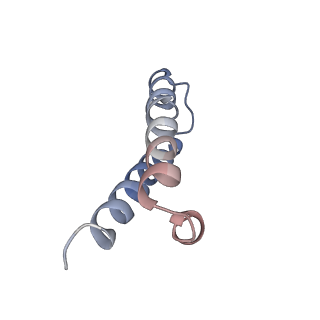 21858_6wnw_y_v1-0
Active 70S ribosome without free 5S rRNA and bound with A- and P- tRNA
