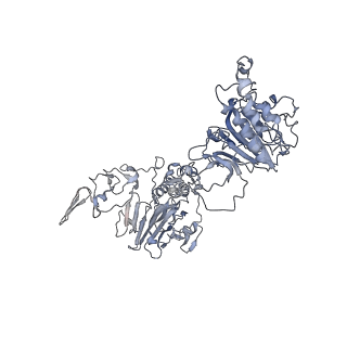 32620_7wn3_A_v1-0
Cryo-EM structure of VWF D'D3 dimer (2M mutant) complexed with D1D2 at 3.29 angstron resolution (2 units)