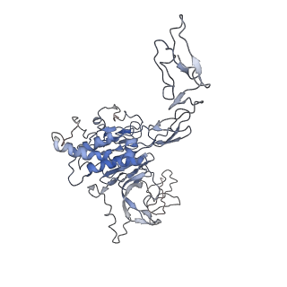 32620_7wn3_D_v1-0
Cryo-EM structure of VWF D'D3 dimer (2M mutant) complexed with D1D2 at 3.29 angstron resolution (2 units)