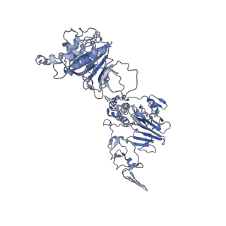 32620_7wn3_E_v1-0
Cryo-EM structure of VWF D'D3 dimer (2M mutant) complexed with D1D2 at 3.29 angstron resolution (2 units)