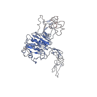 32620_7wn3_F_v1-0
Cryo-EM structure of VWF D'D3 dimer (2M mutant) complexed with D1D2 at 3.29 angstron resolution (2 units)