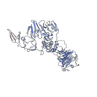 32620_7wn3_G_v1-0
Cryo-EM structure of VWF D'D3 dimer (2M mutant) complexed with D1D2 at 3.29 angstron resolution (2 units)