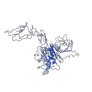 32620_7wn3_H_v1-0
Cryo-EM structure of VWF D'D3 dimer (2M mutant) complexed with D1D2 at 3.29 angstron resolution (2 units)