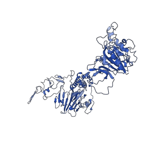 32621_7wn4_E_v1-0
Cryo-EM structure of VWF D'D3 dimer (wild type) complexed with D1D2 at 3.4 angstron resolution (1 unit)