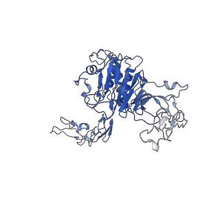 32621_7wn4_F_v1-0
Cryo-EM structure of VWF D'D3 dimer (wild type) complexed with D1D2 at 3.4 angstron resolution (1 unit)