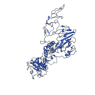 32621_7wn4_G_v1-0
Cryo-EM structure of VWF D'D3 dimer (wild type) complexed with D1D2 at 3.4 angstron resolution (1 unit)