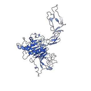 32621_7wn4_H_v1-0
Cryo-EM structure of VWF D'D3 dimer (wild type) complexed with D1D2 at 3.4 angstron resolution (1 unit)