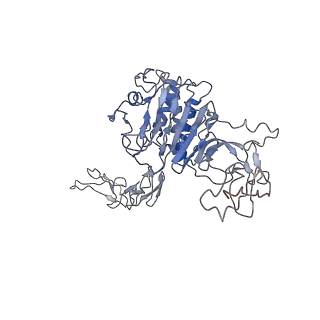 32622_7wn6_C_v1-0
Cryo-EM structure of VWF D'D3 dimer (R1136M/E1143M mutant) complexed with D1D2 at 3.29 angstron resolution (2 units)