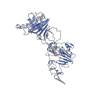 32622_7wn6_E_v1-0
Cryo-EM structure of VWF D'D3 dimer (R1136M/E1143M mutant) complexed with D1D2 at 3.29 angstron resolution (2 units)