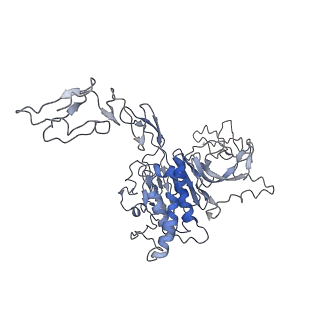 32622_7wn6_H_v1-0
Cryo-EM structure of VWF D'D3 dimer (R1136M/E1143M mutant) complexed with D1D2 at 3.29 angstron resolution (2 units)