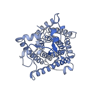 32633_7wnq_A_v1-1
Cryo-EM structure of AtSLAC1 S59A mutant