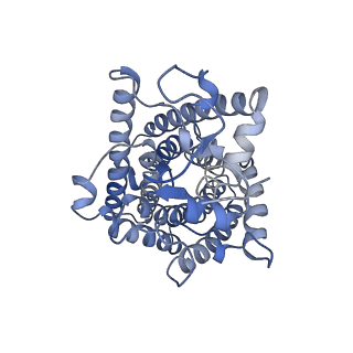 32633_7wnq_B_v1-1
Cryo-EM structure of AtSLAC1 S59A mutant