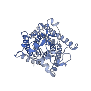 32633_7wnq_C_v1-1
Cryo-EM structure of AtSLAC1 S59A mutant