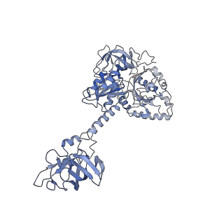 21859_6woo_1_v1-0
CryoEM structure of yeast 80S ribosome with Met-tRNAiMet, eIF5B, and GDP