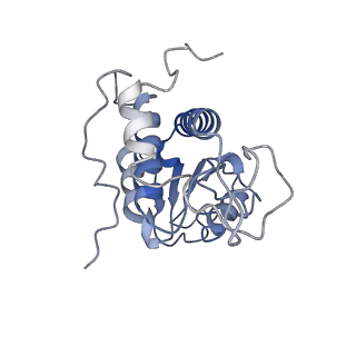 21859_6woo_AA_v1-0
CryoEM structure of yeast 80S ribosome with Met-tRNAiMet, eIF5B, and GDP