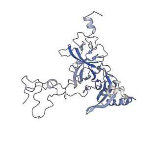 21859_6woo_B_v1-0
CryoEM structure of yeast 80S ribosome with Met-tRNAiMet, eIF5B, and GDP