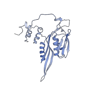 21859_6woo_CC_v1-0
CryoEM structure of yeast 80S ribosome with Met-tRNAiMet, eIF5B, and GDP