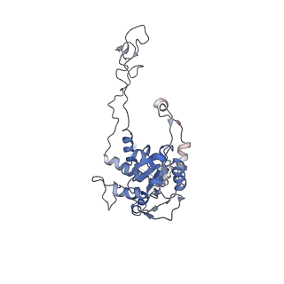 21859_6woo_C_v1-0
CryoEM structure of yeast 80S ribosome with Met-tRNAiMet, eIF5B, and GDP