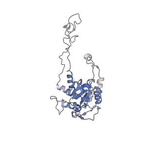 21859_6woo_C_v2-0
CryoEM structure of yeast 80S ribosome with Met-tRNAiMet, eIF5B, and GDP