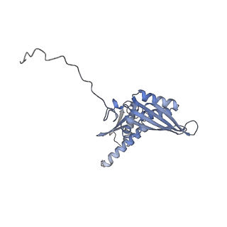 21859_6woo_DD_v1-0
CryoEM structure of yeast 80S ribosome with Met-tRNAiMet, eIF5B, and GDP