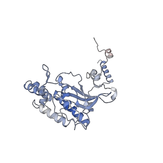 21859_6woo_D_v2-0
CryoEM structure of yeast 80S ribosome with Met-tRNAiMet, eIF5B, and GDP