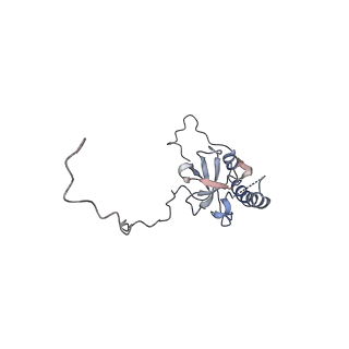 21859_6woo_E_v1-0
CryoEM structure of yeast 80S ribosome with Met-tRNAiMet, eIF5B, and GDP