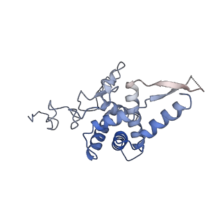 21859_6woo_FF_v1-0
CryoEM structure of yeast 80S ribosome with Met-tRNAiMet, eIF5B, and GDP