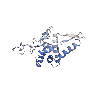 21859_6woo_FF_v2-0
CryoEM structure of yeast 80S ribosome with Met-tRNAiMet, eIF5B, and GDP