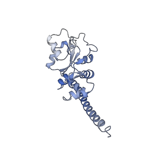 21859_6woo_F_v1-0
CryoEM structure of yeast 80S ribosome with Met-tRNAiMet, eIF5B, and GDP