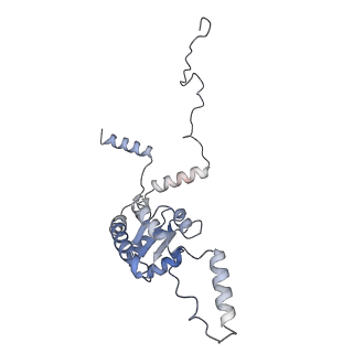 21859_6woo_G_v1-0
CryoEM structure of yeast 80S ribosome with Met-tRNAiMet, eIF5B, and GDP