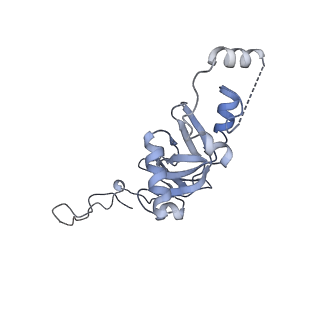 21859_6woo_II_v1-0
CryoEM structure of yeast 80S ribosome with Met-tRNAiMet, eIF5B, and GDP