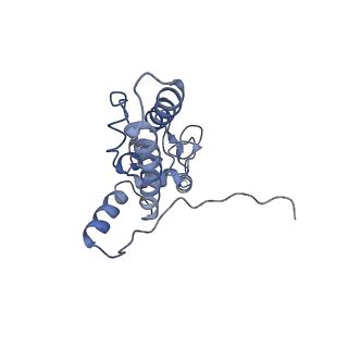 21859_6woo_JJ_v1-0
CryoEM structure of yeast 80S ribosome with Met-tRNAiMet, eIF5B, and GDP