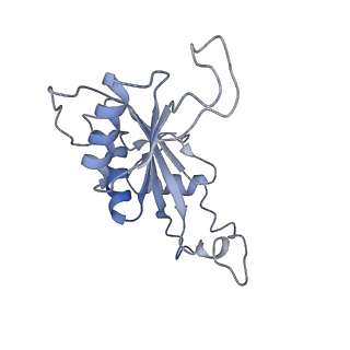 21859_6woo_J_v1-0
CryoEM structure of yeast 80S ribosome with Met-tRNAiMet, eIF5B, and GDP