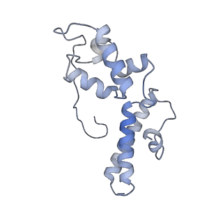 21859_6woo_NN_v1-0
CryoEM structure of yeast 80S ribosome with Met-tRNAiMet, eIF5B, and GDP