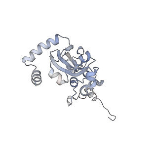 21859_6woo_N_v1-0
CryoEM structure of yeast 80S ribosome with Met-tRNAiMet, eIF5B, and GDP