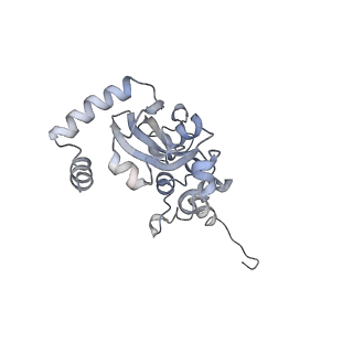 21859_6woo_N_v2-0
CryoEM structure of yeast 80S ribosome with Met-tRNAiMet, eIF5B, and GDP